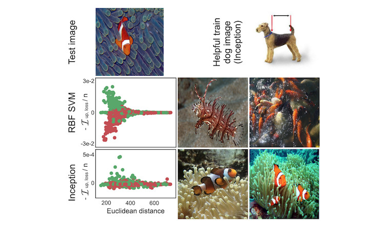 Perro o pez? Para la predicción SVM (fila central), las imágenes que tenían colores similares a la imagen de prueba fueron las más influyentes. Para la predicción de la red neuronal (fila inferior), los peces en diferentes entornos fueron los más influyentes, pero también una imagen de perro (arriba a la derecha). Trabajo de Koh y Liang (2017).