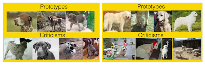 Prototipos y excepciones para dos tipos de razas de perros del conjunto de datos de ImageNet.